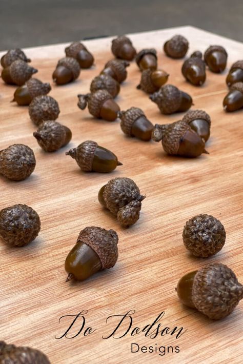 How To Preserve Acorns for Fall Crafts and Decorating - Do Dodson Designs Preserve Acorns, Dried Acorns, Red Oak Tree, Get Ready For Fall, Creative Display, Ready For Fall, Fall Decorating, Fall Decor Diy, Cookie Sheet