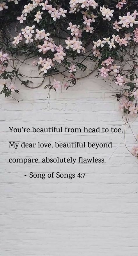 Verses About Flowers, Bible Verse For Women, Bible Verses About Beauty, Bible Verses For Girls, Bible Verse Background, Comforting Bible Verses, Bible Verses For Women, Bible Quotes Wallpaper, Beautiful Bible Verses