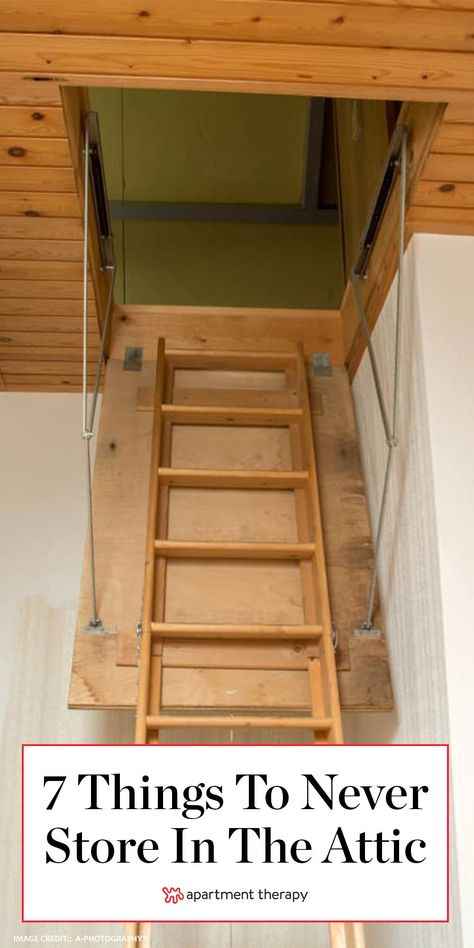 Lofted Garage, Garage Storage Loft, Organize Hacks, Attic Storage Organization, Organize Garage, Attic Storage Solutions, Garage Inspiration, Attic Organization, Garage Attic