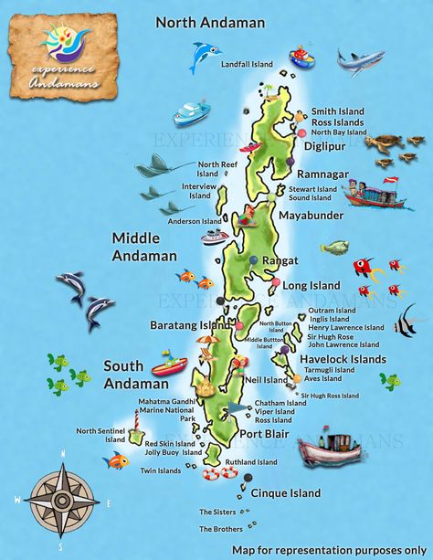 Andaman And Nicobar Island, Neil Island, Andaman Nicobar, Travel India Beautiful Places, Travel Destinations In India, Port Blair, India Travel Places, Andaman Islands, India Travel Guide