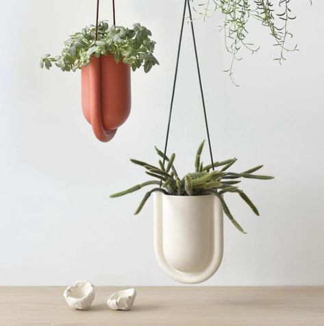 West Elm Misewell Portico Hanging Planter Unique Centerpieces, Indoor Outdoor Planter, Plant Basket, Modern Planters, Wood Planters, Hanging Planter, Pottery Barn Teen, Outdoor Planters, Hanging Planters