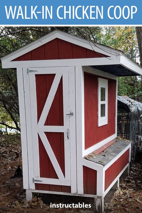 Build an 4' by 8' walk-in chicken coop for your backyard. #outdoors #outside #woodworking #workshop #woodshop #livestock #animals #shelter 4x8 Chicken Coop, Simple Chicken Coop Plans, Animals Shelter, Chicken Coop Designs Diy, Chicken Coop Plans Free, Mobile Chicken Coop, Walk In Chicken Coop, Small Chicken Coops, Easy Chicken Coop