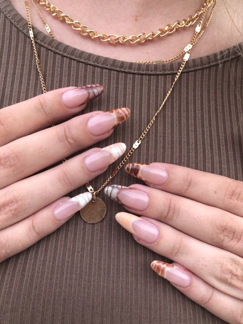 Snake Print Almond Nails, Croc Print French Tip Nails Almond, Almond Snake Nails, Crocodile Almond Nails, Snake French Tip Nails, Autumn Nails Almond, Snake Print Nails, Autumnal Nails, Snake Skin Nails