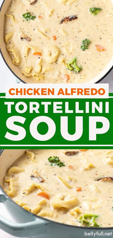 Chicken Alfredo Tortellini Soup, Alfredo Tortellini Soup, Chicken Alfredo Soup, Chicken Alfredo Tortellini, Alfredo Soup, Entirely Elizabeth, Soup Tortellini, Alfredo Tortellini, Minute Chicken