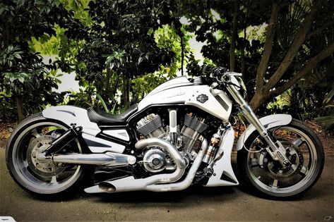 Vrod Muscle, V Rod Custom, Custom Body Kits, Harley Davidson Night Rod, Custom Motorcycles Bobber, Custom Motorcycles Harley, Leather Chaps, Harley Davidson V Rod, V Rod