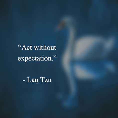 “Act without expectation.” - Lau Tzu Lau Tzu Quotes, Lau Tzu, Sick Quotes, Lao Tzu Quotes, Tao Te Ching, Daily Quote, Lao Tzu, Dancing In The Rain, Quotable Quotes