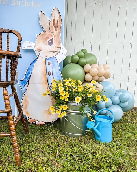 Have you heard the tale of … Peter Rabbit ?🐇 Such a cute theme for this first birthday! #balloondecor #balloonstylist #balloongarland #eventdecor #eventdesign #peterrabbit Peter Rabbit 1st Birthday Girl, Peter Rabbit Backdrop, Peter Rabbit Themed Baby Shower Ideas, Peter Rabbit Balloons, Peter Rabbit Theme Party, Rabbit Theme, Tale Of Peter Rabbit, Adoption Party, Rabbit Decor