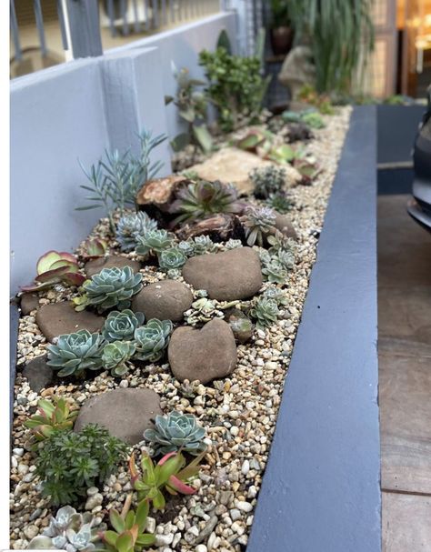 Succulents Rock Garden, Succulent Front Garden, Rock Garden Succulents Landscape Design, Succulent Landscape Design Front Yards, Succulent Garden Design Outdoors, Succulents Garden Outdoor, Succulent Garden Bed, Succulent Rock Garden Landscaping, Succulent Flower Bed