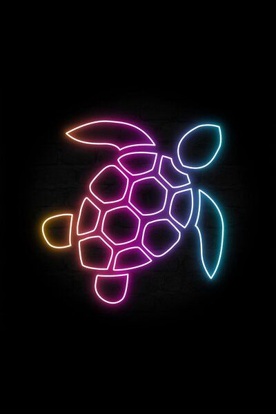 Purple Turtle Wallpaper, Tropical Icons, Neon Widgets, Lid Lights, Turtle Background, Sky Wallpapers, Sea Turtle Pictures, Turtle Wallpaper, Neon Icons