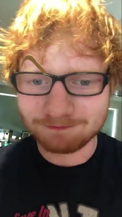 Ed Shiran, Ed Sheeran Memes, Ed Sheeran Facts, Ed Sheeran Love, Ginger Boy, Very Funny Pictures, Silly Pictures, Ed Sheeran, Reaction Pictures