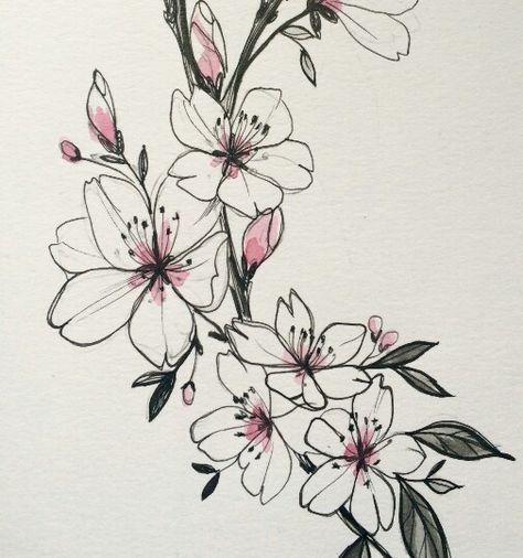 Ballet Illustration, Apricot Blossom, Blossom Tattoo, Arrow Tattoo, Watercolor Flowers Paintings, Mini Tattoos, Blossom Flower, Lotus Flower Tattoo, Watercolor Flowers