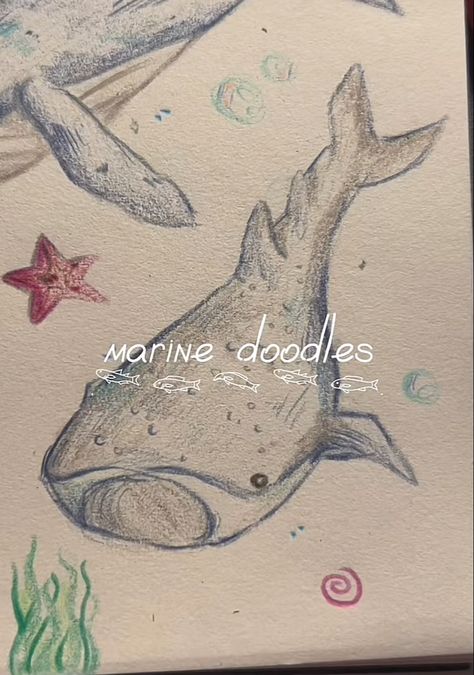 Aesthetic Sea Drawing, Marine Doodles Aesthetic, Marine Animals Drawing Aesthetic, Shark Whale Drawing, Sea Animal Doodles, Marine Doodles, Sea Animal Drawings, Marine Sketch, Marine Life Drawing