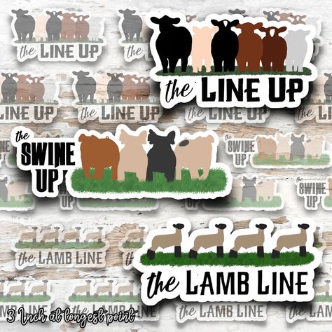 Vinyl livestock sticker, perfect for computer, water bottle, show box and much more! 3 inch at longest point.  Images are owned by Back in the Barn Boutique. Show Steers, Pig Showing, Cricut Explore Projects, Western Accessories, Showing Livestock, Name Design, Presents For Friends, 4 H, Laptop Stickers