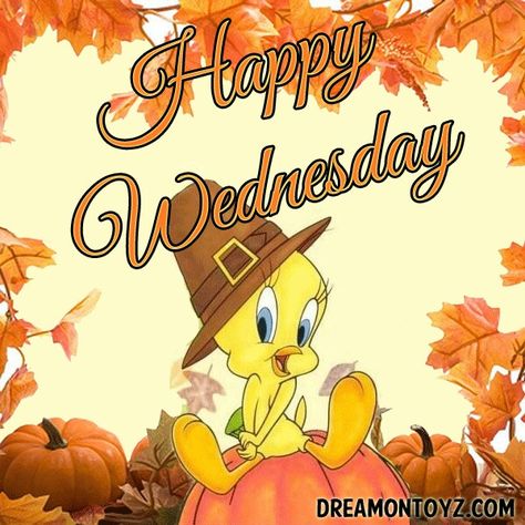 Happy Wednesday Tweety Bird Thanksgiving Backgrounds, Fall Facebook Cover, Backgrounds Disney, Happy Wednesday Images, Wednesday Greetings, Disney Thanksgiving, Happy Thanksgiving Images, Thanksgiving Eve, Thanksgiving Background