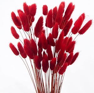 JOJAZE 60pcs Dried Bunny Tails Flowers Red Pampas Grass Natural Dried Floral Arrangement Dry Flowers for Christmas Halloween Boho Decor Home Wedding DIY Craft Decoration (16")… Red Flower Bouquet, Natural Bouquet, Tafel Decor, Spring Floral Arrangements, Diy Farmhouse Table, Chinese New Year Decorations, Grass Wedding, Bunny Tails, Wedding Crafts Diy