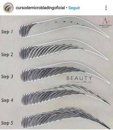 Microblading Step By Step, Mircoblading Eyebrows Tips, Microblading Patterns Step By Step, Nanoblading Eyebrows, Types Of Eyebrows, Membentuk Alis, Bentuk Alis, Eyebrow Design, Pencil Sketch Images