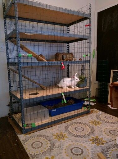 Cheap Rabbit Cage Ideas, Two Story Bunny Cage, Inside Rabbit Cage Ideas, Rabbit Cage Ideas Indoor, Flemish Giant Rabbit Cage Indoor, Homemade Rabbit Cage, Bunny House Diy, Rabbit House Ideas, House Rabbit Setup