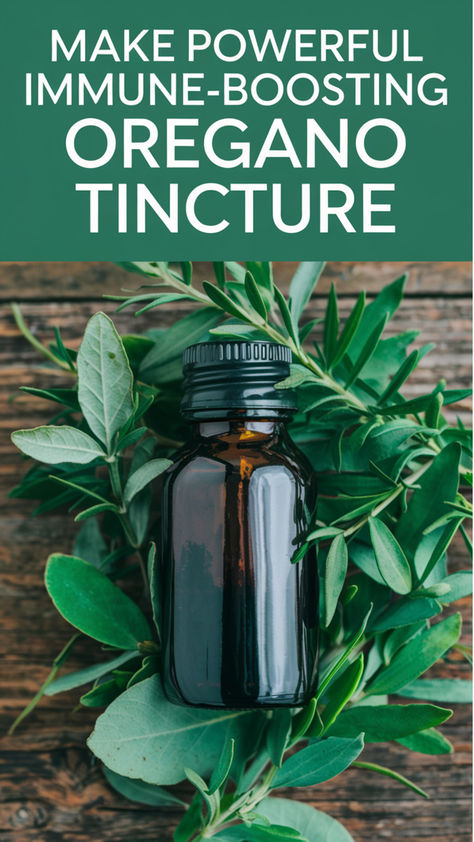 Discover how to make a powerful oregano tincture right at home. This simple DIY recipe harnesses the immune-boosting properties of oregano to keep you healthy year-round. Perfect for beginners looking to embrace natural remedies. Click now to learn how to make your own herbal tincture. Immunity Tincture Recipe, Homemade Tincture Recipes, Oregano Oil Tincture Recipe, How To Make Tinctures, Oregano Tincture Recipe, Oregano Tincture Benefits, Rosemary Tincture Recipe, Healthy Tinctures, Tinctures For Beginners