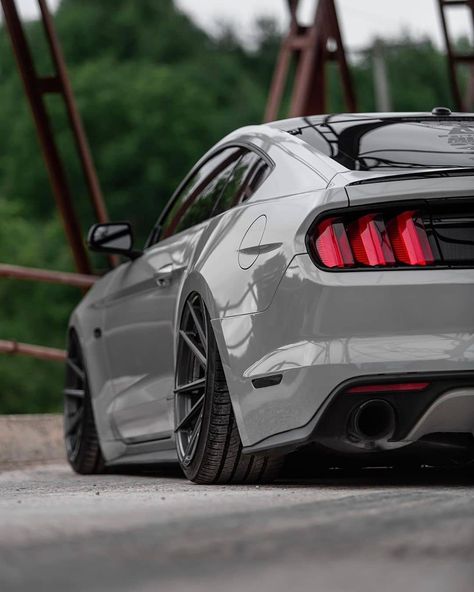 Ford Mustang Wallpaper, Ford Mustang Bullitt, Muscle Cars Mustang, Mustang Wallpaper, Mustang Bullitt, Mustang Car, Aesthetic Cool, Ford Mustang Car, 2015 Mustang