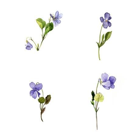 Violet Flower Tattoos, Violet Tattoo, Wildflower Drawing, Tattoo Zeichnungen, Birth Flower Tattoos, Tatuaje A Color, Illustration Botanique, Dainty Tattoos, Plant Drawing