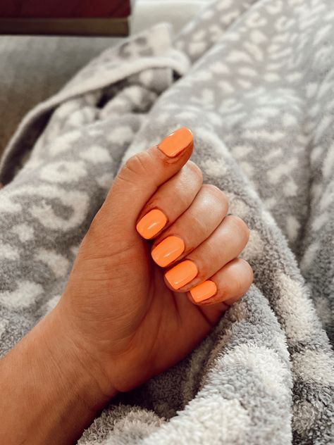 DND gel polish “Pure Canteloupe” #gelnails #gelpolish #dnd #dndgelpolish #diy #diynailart #diynailsathome Dnd Pure Cantaloupe, Dnd 759 Lava, Dnd Gel Orange Colors, Dnd 550 Coral Castle, Dnd Mandarin Glow, Canteloupe, Dnd Gel Polish, Diy Nail Art, Beauty Stuff