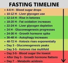 FASTING TIMELINE Fasting Timeline, Nutrition Facts Quotes, Fasting Diet Plan, Intermittent Fasting Diet, Fast And Pray, Food For Digestion, Fasting Diet, Body Healing, Health Info