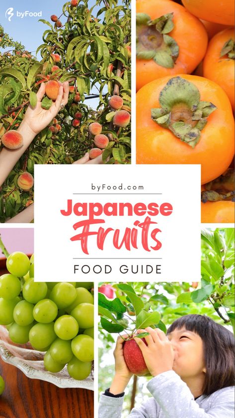 Fruit Season Chart, Japan For Kids, Asian Fruit, Chinese Fruit, Takayama Japan, Travel To Do List, Japanese Fruit, Garden Farming, Sustainable Homestead