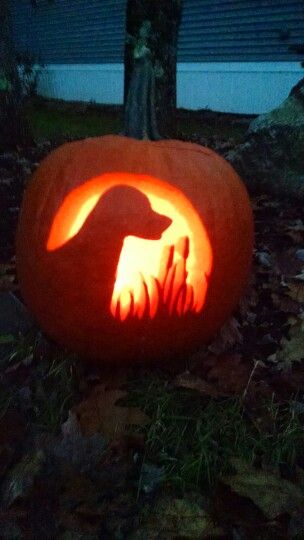 Dog Pumkin Carvings, Duck Pumpkin Carving Ideas, Pumpkin Carving Ideas Dog, Dog Pumpkin Carving, Unique Pumpkin Carving Ideas, Cute Pumpkin Carving, Dog Pumpkin, Pumkin Carving, Easy Pumpkin Carving