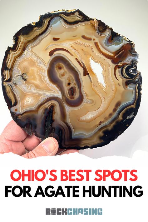 Ohio is a hidden gem for agate hunters! Discover where to find agate in Ohio and learn the best techniques for successful agate hunting. Agate photo provided by Weinrich Minerals Agate Hunting, Sedimentary Rock Formation, Gem Hunt, Ohio Travel, Rock Hunting, Sedimentary Rocks, Metal Detecting, Shark Tooth, Fire Agate