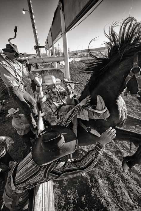 Teamwork Photography, Western Aesthetic Wallpaper, Cowboy Photography, Pure Country, Bronc Riding, Bucking Horse, Rodeo Time, Country Backgrounds, Cowgirl Pictures