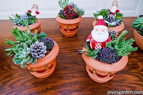 Need some Christmas succulent ideas? If you're like me, you have lots of glittery, sparkling decorations but love to have a few things "au naturel" around the house when the holidays roll around. These festive succulent gardens are fun to make, fun to give and look lovely on a table or buffet. Here's a step by step on how to make these Christmas succulent arrangements plus a video to guide you. Christmas Plants Decorations, Christmas Plant Ideas, Christmas Succulent Arrangements, Christmas Succulent Ideas, Christmas Succulents, Succulents Christmas, Succulent Business, Diy Succulent Garden, Succulent Christmas