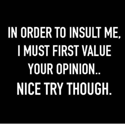 In order to insult me, I must first value your opinion. Life Quotes Love, Sassy Quotes, Sarcastic Quotes Funny, Sylvester Stallone, Badass Quotes, Reality Check, E Card, Quotable Quotes, Sarcastic Quotes