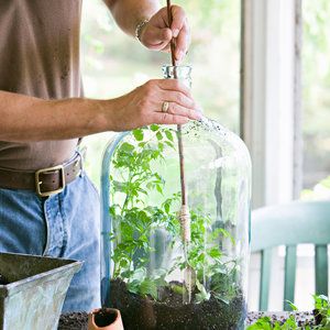 Best Terrarium Plants, Closed Terrarium Plants, Terrarium Scene, Build A Terrarium, Large Glass Bottle, Large Terrarium, Bottle Terrarium, Sunset Magazine, Miniature Gardens