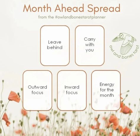 Month Ahead Tarot Spread, Month Ahead Tarot, Tarot Reading Spreads, Tarot Card Spreads, Tarot Spread, Getting Back Together, Tarot Spreads, Tarot Decks, Tarot Reading