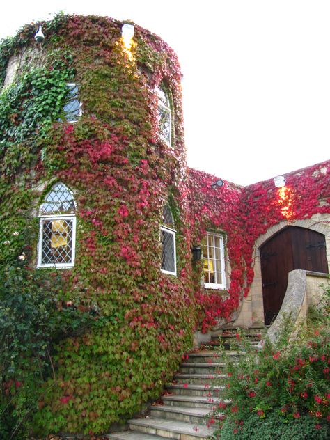 autumn at st. hill castle in east grinstead england East Grinstead England, Hill Castle, East Grinstead, Autumn Landscape, Autumn Colors, Close To Home, Manor House, Fall Colors, All Over The World