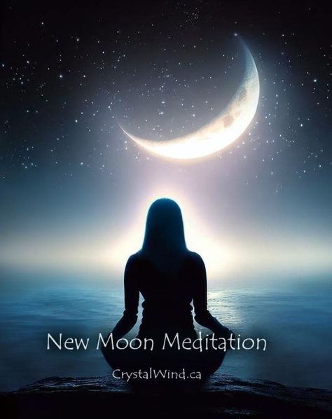 New Moon Meditation Horse Zodiac, Moon Meditation, New Moon Phase, Next Full Moon, Souls Journey, Moon Cycles, Celtic Symbols, Sun Sign, Self Empowerment