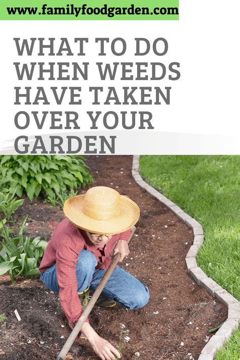 Weeds In Flower Bed, Kill Weeds In Flower Beds, Indoor Gardening Supplies, Killing Weeds, Kill Weeds, Fruit Growing, Farming Ideas, Diy Container Gardening, Container Garden Design