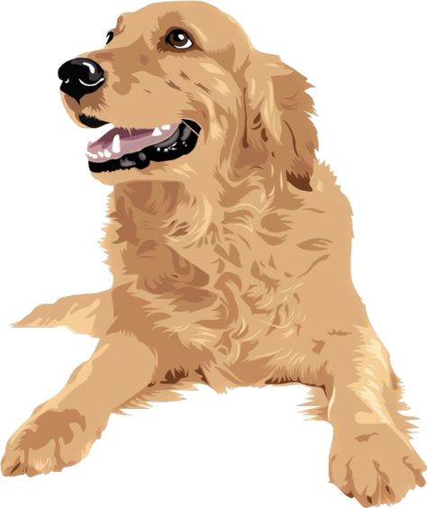 Golden Retriever Svg, Golden Retriever Illustration, Golden Retriever Drawing, Dog Drawing Simple, Cute Dog Drawing, Golden Retriever Art, Dog Portraits Art, Cute Animals Puppies, Golden Dog