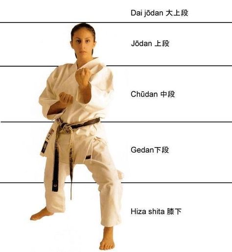 Karate Techniques, Shotokan Karate Kata, Goju Ryu Karate, Karate Moves, Kenpo Karate, Karate Kata, Goju Ryu, Karate Dojo, Sport Karate