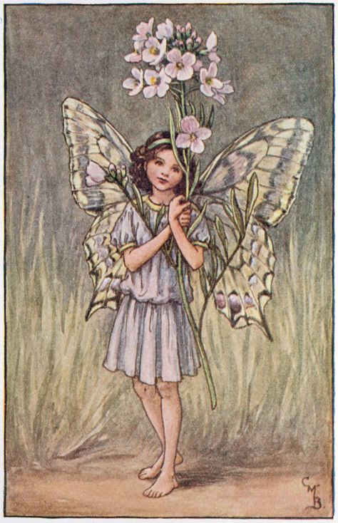 Illustration for the Lady's-Smock Fairy from Flower Fairies of the Spring. A girl fairy stands facing front holding a bunch of lady's smock.  300.1.11 FF Spring 11 1923 Flower Fairies Books, Fairy Illustration, Fairy Pictures, Cicely Mary Barker, Vintage Fairies, Fairy Book, Flower Fairies, Beautiful Fairies, Lithograph Print