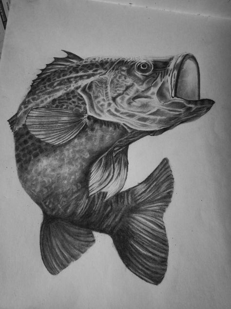 #pencil #sketch #blackandwhite #drawing #pencilsketch Bass Fish Drawing Pencil, Sea Life Pencil Drawings, Fish Realistic Drawing, Underwater Drawing Pencil, Realistic Fish Drawing, Fish Pencil Sketch, Fish Drawing Pencil, Pilgrim Tattoo, Fish Pencil Drawing