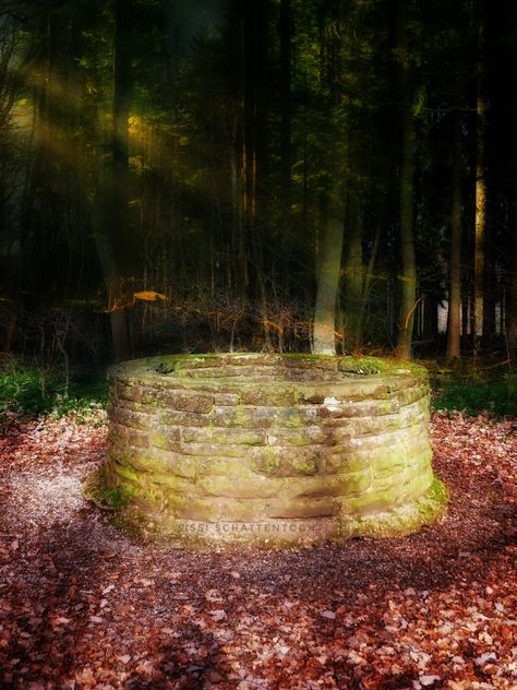 Wishing Well - The Germanic and Celtic peoples considered springs and wells sacred places. Some people believe that the guardians or dwellers of the well would grant them their wish if they paid a price. After uttering the wish, one would generally drop coins in the well. Wikipedia Old Well Aesthetic, Wishing Well Aesthetic, Well Aesthetic, Surah Yusuf, Old Well, Pagan Witch, Inner World, Short Comics, The Guardians