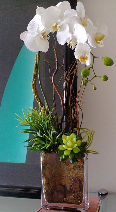 Orchids And Succulents, Silk Orchids Arrangements, Orchid Flower Arrangements, Modern Floral Arrangements, Tropical Floral Arrangements, Orchid Centerpieces, Corporate Flowers, Ikebana Flower Arrangement, Artificial Floral Arrangements