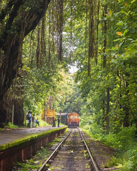 Indian Travellers on Instagram: “Train & Rain. What a great combination. The metallic chugging of the train mixed with the fluidic beat of raindrops. Journey to kerala…” Kerala Village, Kerala Tour, Kerala Travel, India Travel Places, Village Photos, Village Photography, Kerala Tourism, Beauty Routine Tips, Holiday Packages