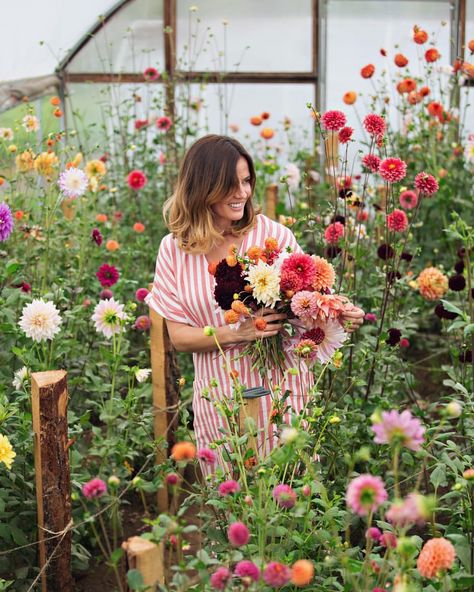 Thank you @l.may.photography for coming to photograph my garden. Thank you @modomanera for taking care of all the production details for… Cut Flower Farm, Backyard Flowers, Flower Picks, Flower Farmer, Cut Flower Garden, Dahlia Flower, Farm Gardens, Flower Farm, 인물 사진