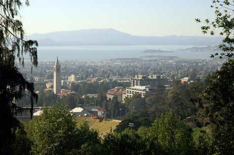 A Guide to the East Bay’s Best Running Trails - The Bold Italic Running Trails, Oakland Hills, East Bay, Puget Sound, California Dreaming, Open Spaces, Trail Running, The East, Open Space