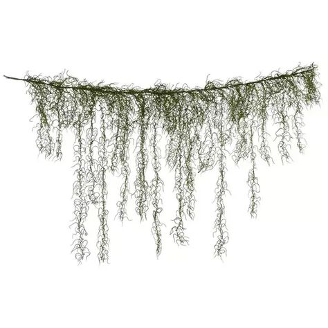 Green Spanish Moss Garland | Hobby Lobby | 343285 Moss Garland, Swamp Witch, Moss Wedding, Peace Pipe, Moss Decor, Forest Party, Enchanted Forest Wedding, Greenery Garland, Spanish Moss