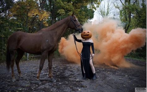 Horse Halloween Photoshoot, Halloween Horse Photoshoot, Headless Horseman Costume, Horse Photoshoot Ideas, Horse Halloween Costumes, Horse Halloween, Halloween Horse, Horse Photoshoot, Fall Animals