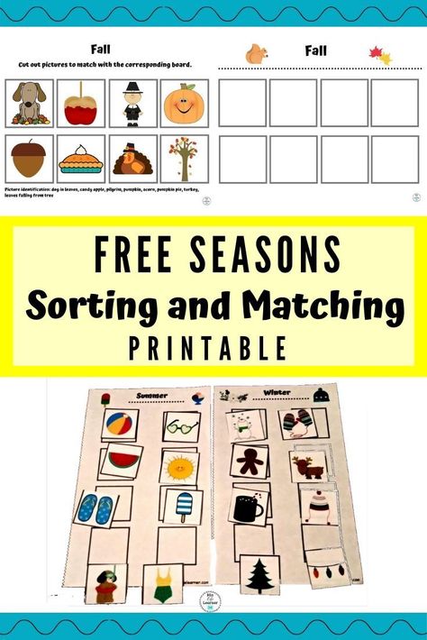 Great activity to work on sorting and matching skills while learning about the seasons. Little ones will match pictures with the correct season. This can also be used as a cut and glue activity. The boards come in full size or half size. The half size is perfect for busy bags! Seasons Sorting Activity Free Printable, 4 Seasons Preschool Activities, Seasons Printable, Seasons Preschool, Kids Work, Free Preschool Printables, Seasons Activities, Cut And Glue, Teaching Special Education