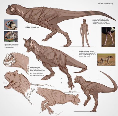 Jon Kuo on Instagram: “Carnotaurus study  disclaimer! I'm not a paleontologist or a paleobiologist and I never claim to be an animal expert I'm just a concept…” Triceratops Cute Drawing, Paleoart Illustrations, Prehistoric Animals Art, Dinosaur Art Reference, Carnotaurus Sketch, Dinosaur Anatomy Drawing, Carnotaurus Paleoart, Dinosaur Drawing References, Prehistoric Dragon